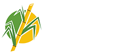 Global Panela